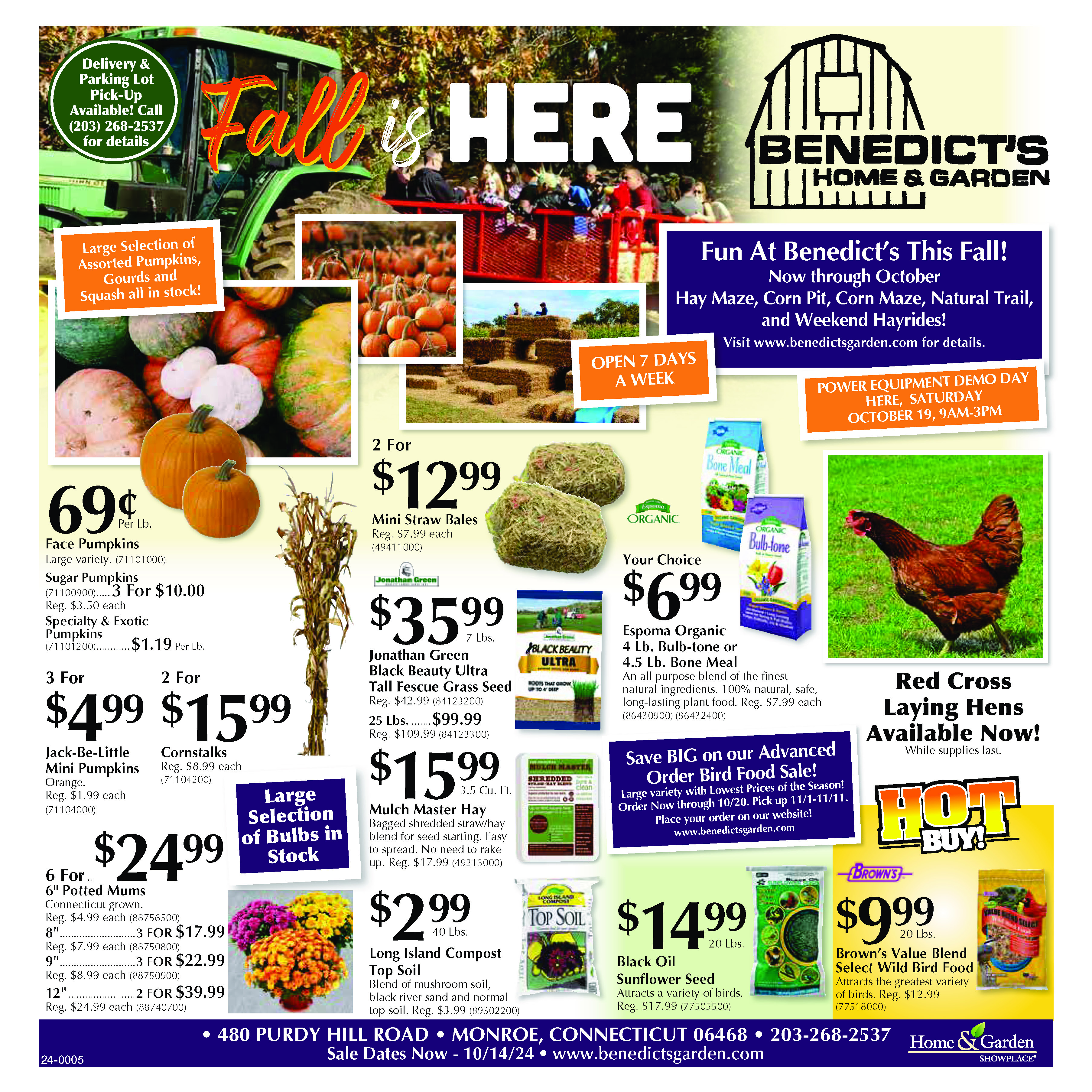 elliots flyer thumbnail