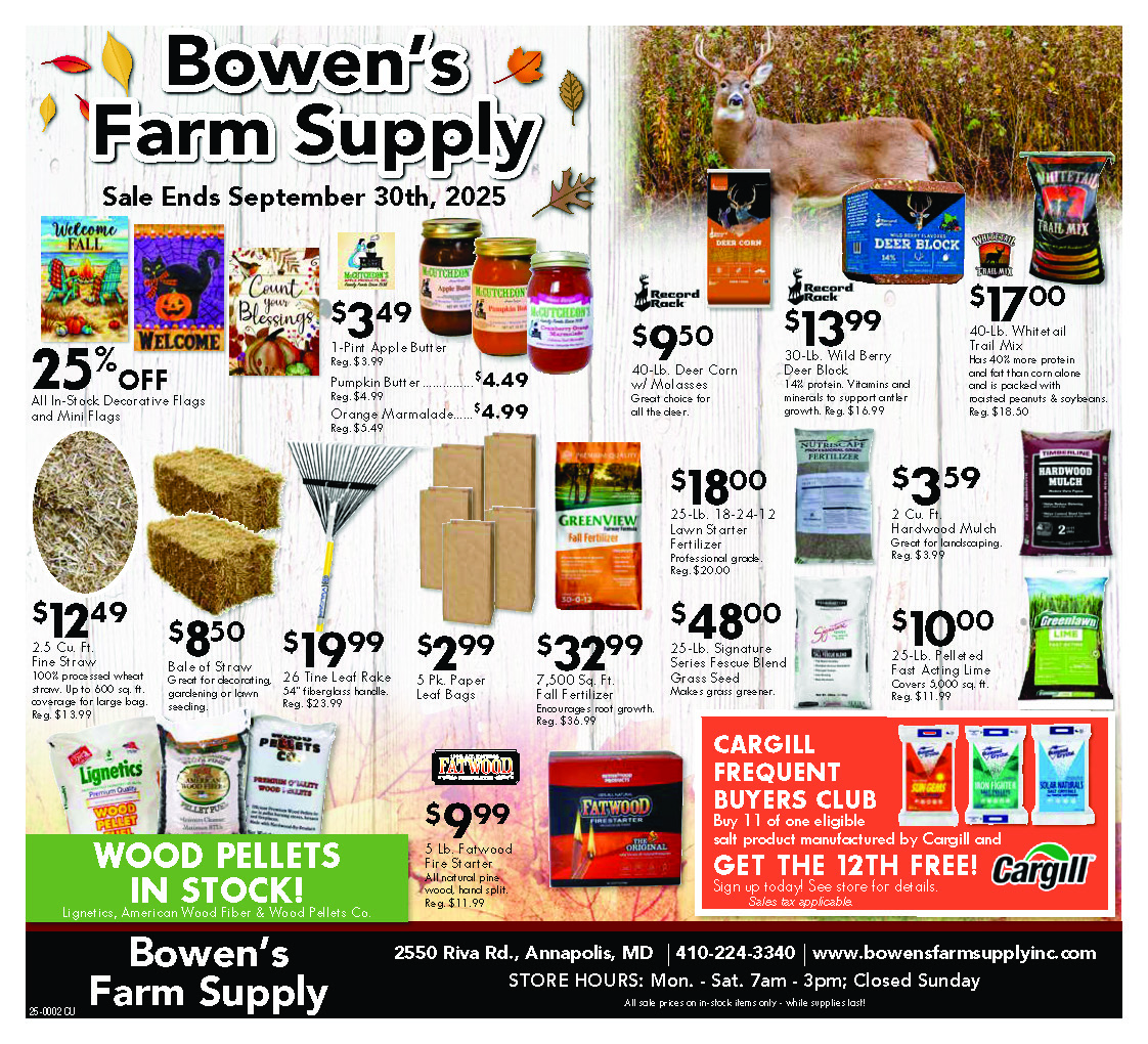 kees aquarium postcard thumbnail