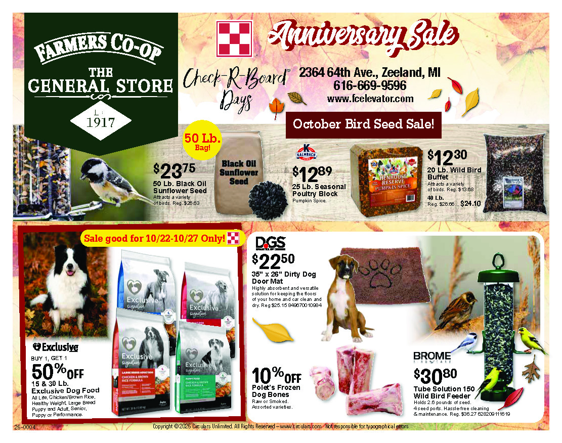 snow big deal flyer thumbnail